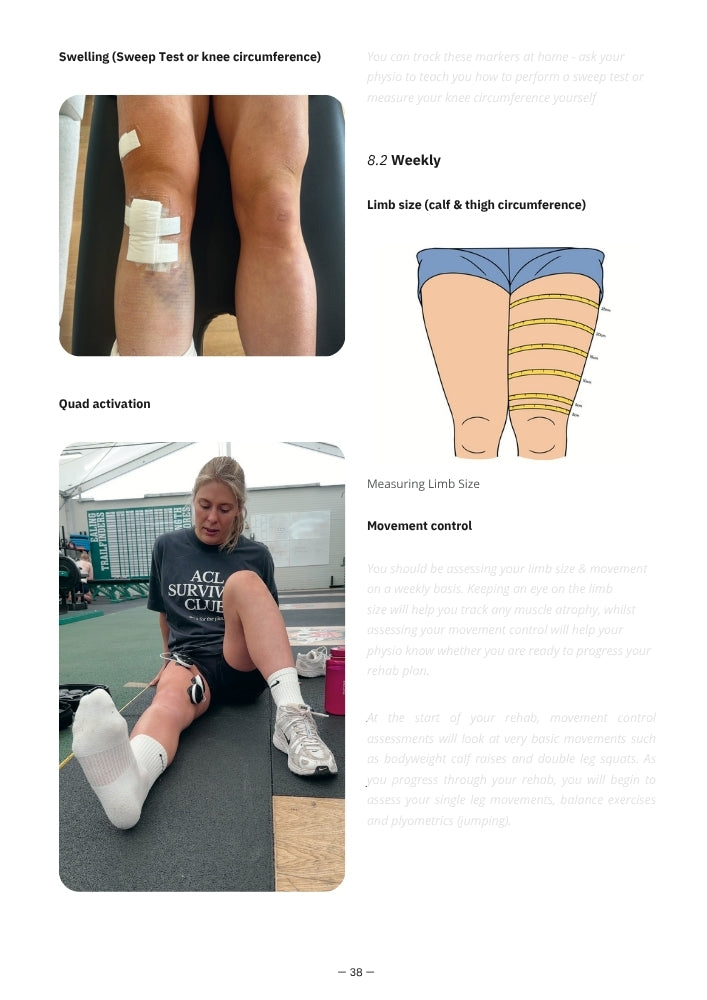 ACL Survival Guide - Digital Download